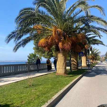 Apartman Mare I *